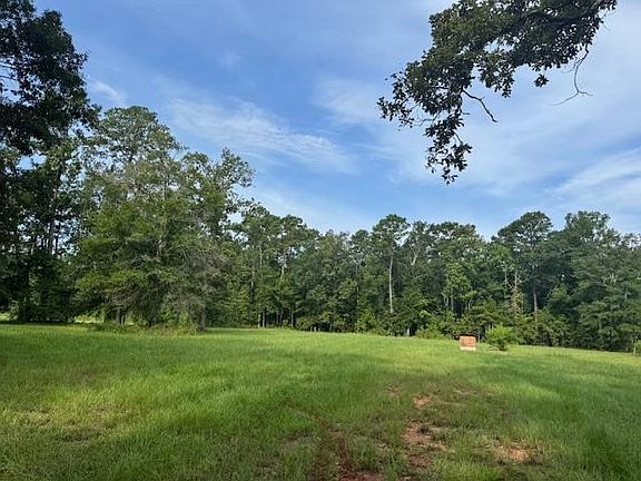 4th image of 18163 Balfantz Rd