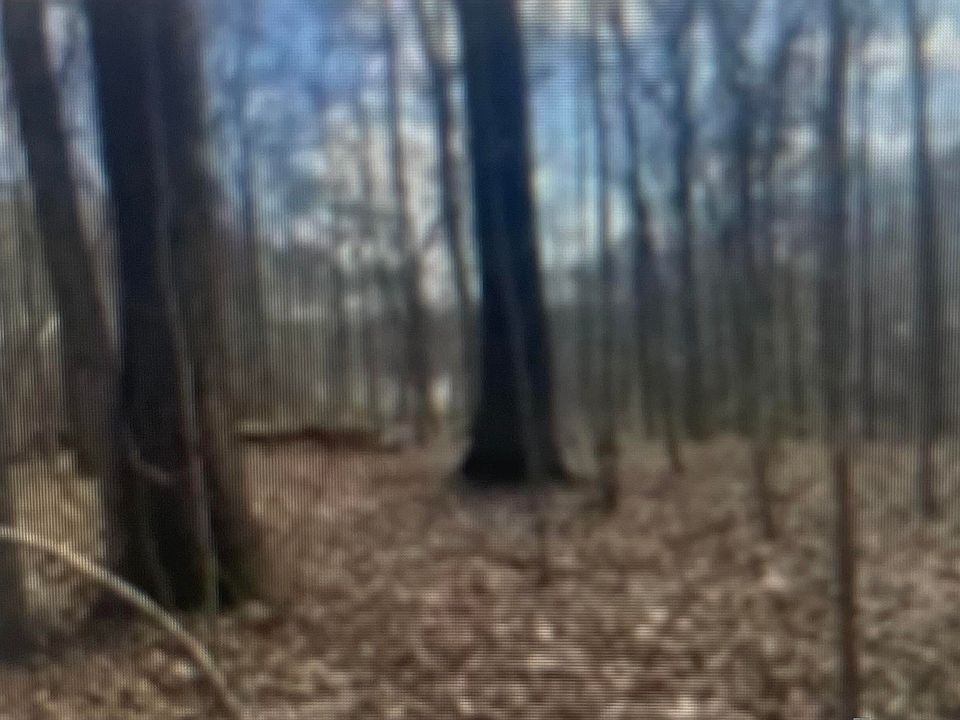 2nd image of 0 Turkey Creek Rd