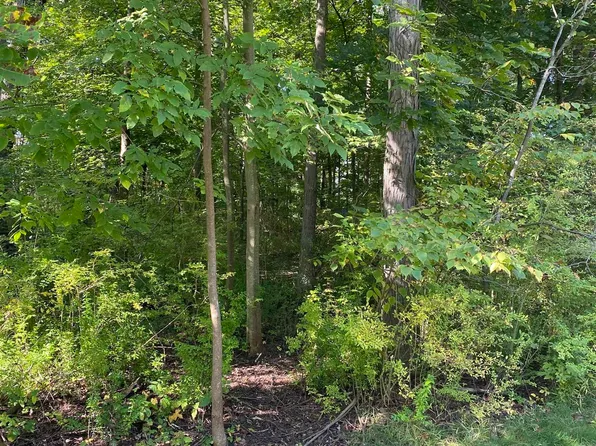 0 Saint Clair St, Harsens Island, MI 48028