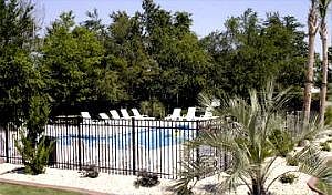 Great pool!
