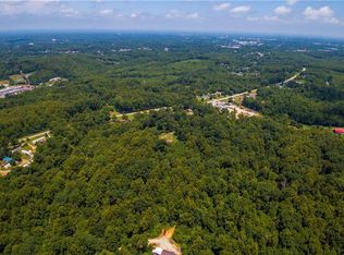 203 Brush Arbor Ln, Thomasville, NC 27360