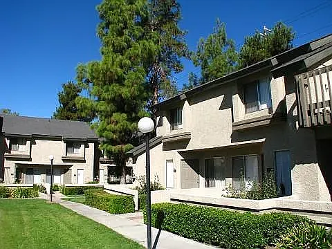 Palm Village Apartment Homes — Photo 10