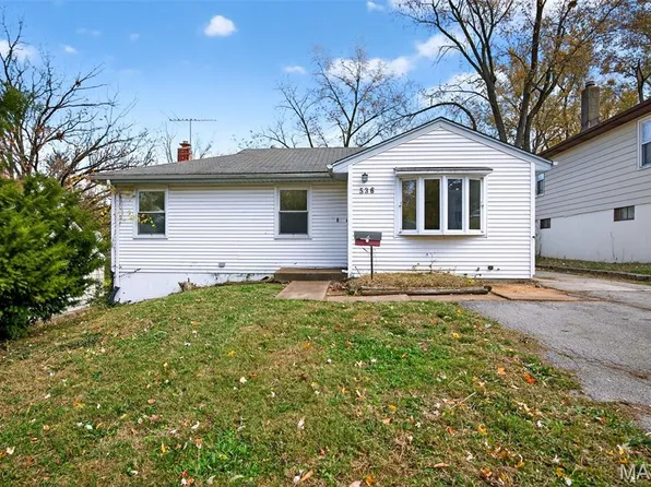 536 Ames Pl, Saint Louis, MO 63135