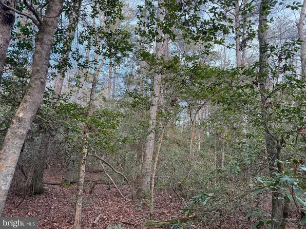 19285 Vanderhoof Ln, Valley Lee, MD 20692