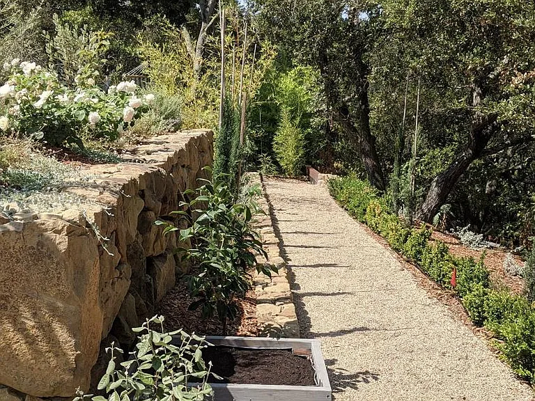 backyard path to wander into rose garden and nature