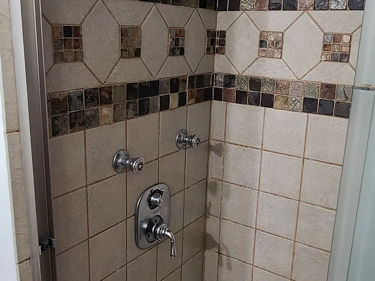 Master shower