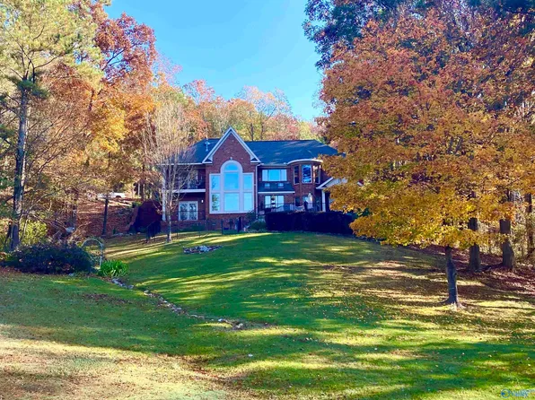 460 Rocky Ridge Rd, Union Grove, AL 35175