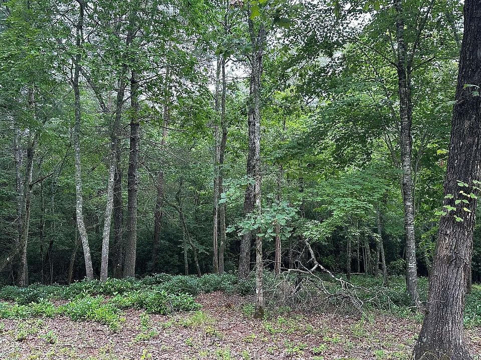 1st image of 19 Brasstown
