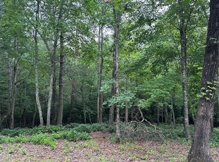 LOT 19 Brasstown Vw, Brasstown, NC 28902