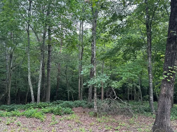 19 Brasstown, Warne, NC 28909