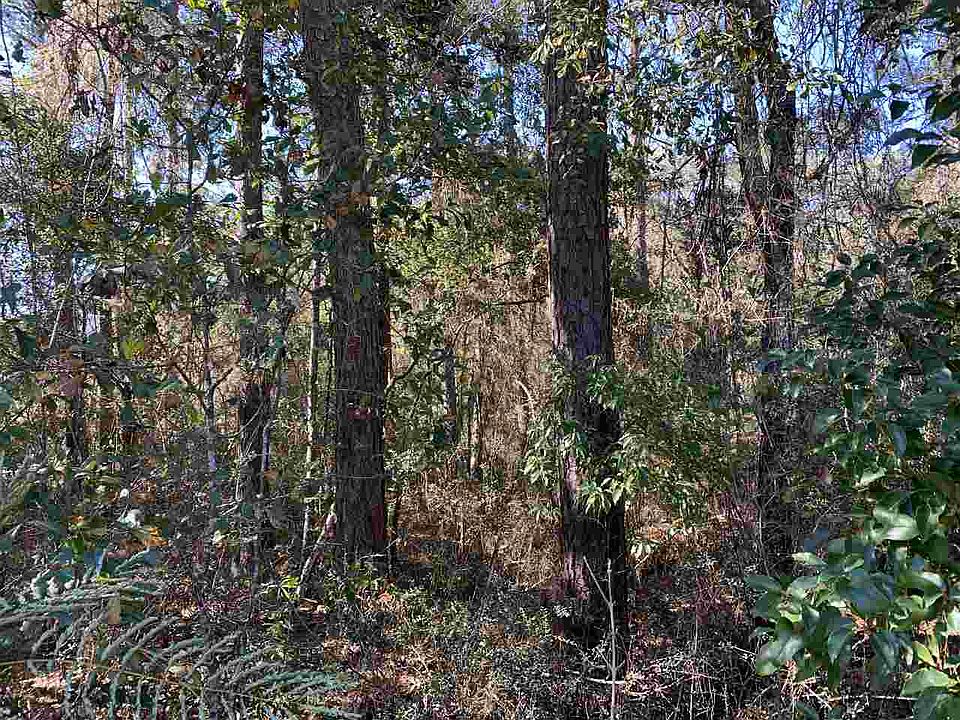 1st image of Maggie Ln
