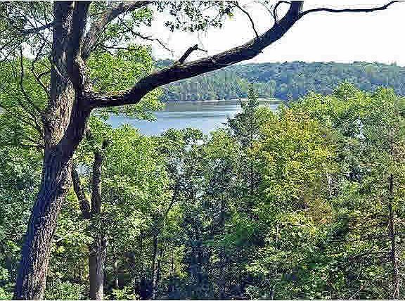 4th image of 10677 Cedar Heights Trail
