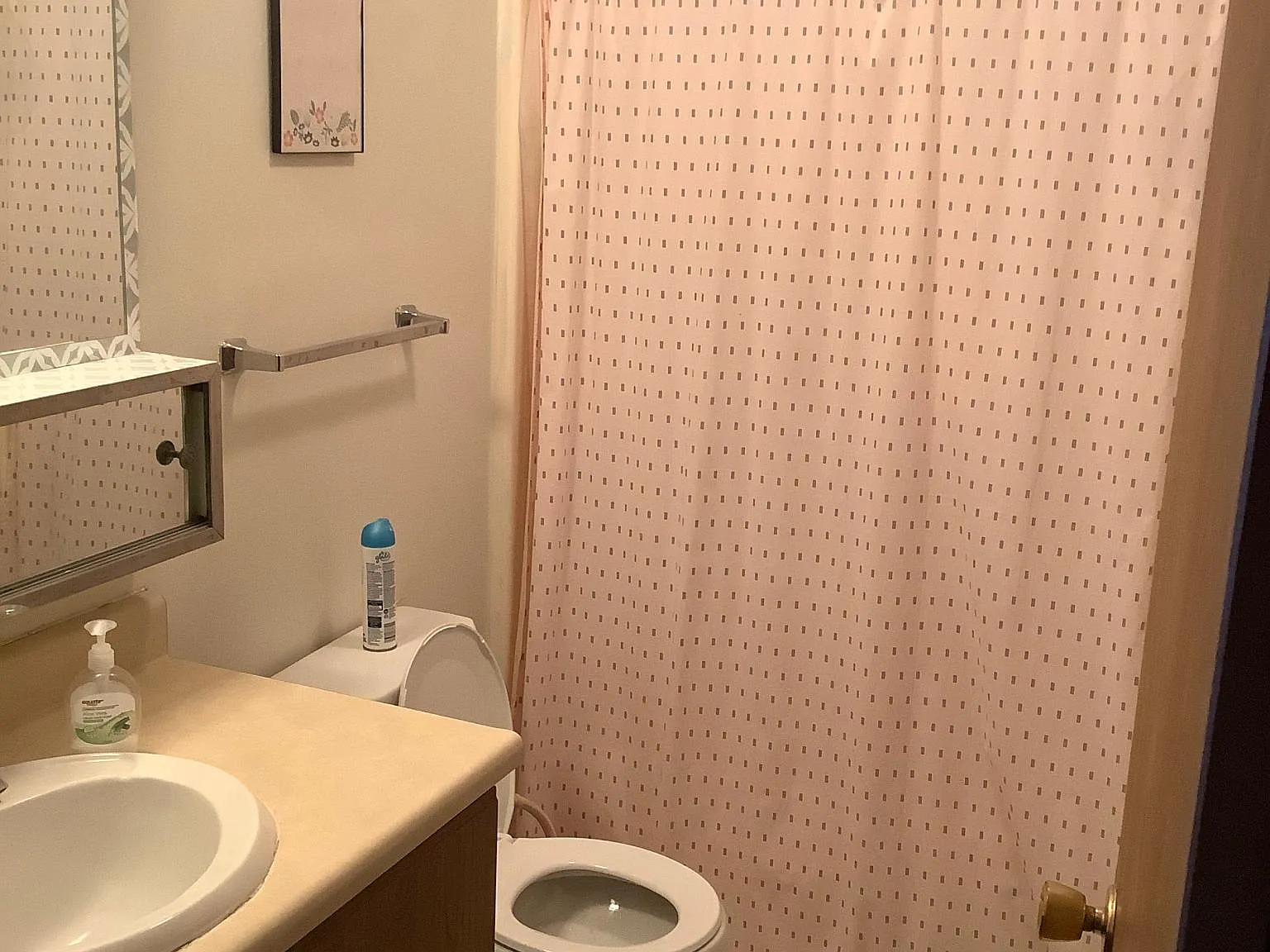 3 bed, 735 sqft, $1,560 — Photo 4