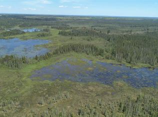 320 Acres Aho Rd, Rudyard, MI 49780