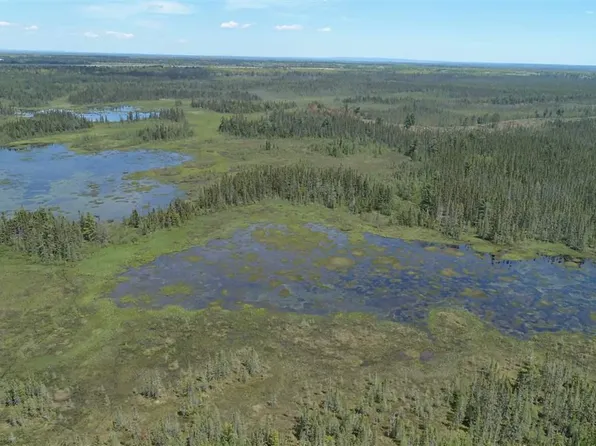 320 Acres Aho Rd, Rudyard, MI 49780