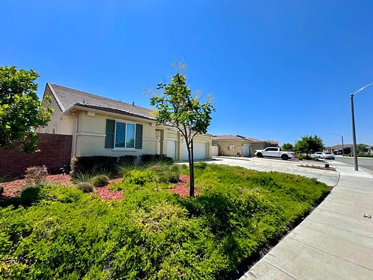 34726 Yellow Root St — Photo 5