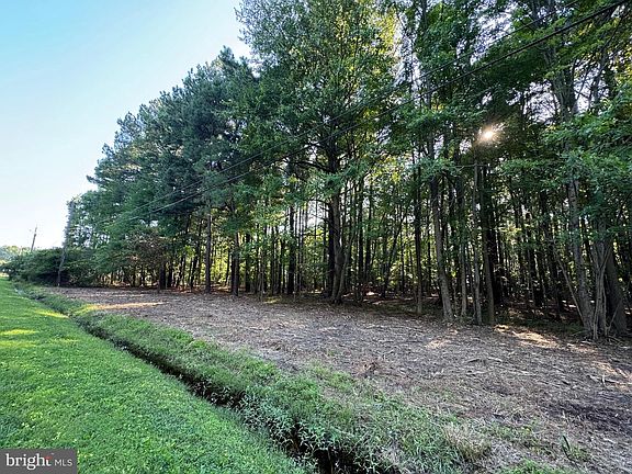 5th image of 142 Olive Branch Rd Lot 7