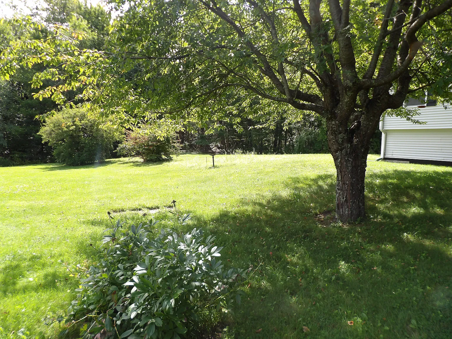 3 bed, 1190 sqft, $2,800 — Photo 3