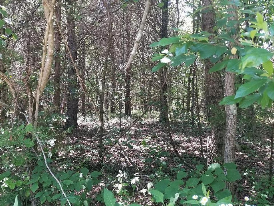 2nd image of 269 Dudala Way