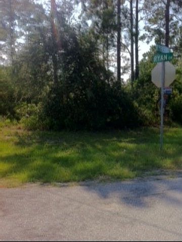2nd image of 185 Ryan Dr