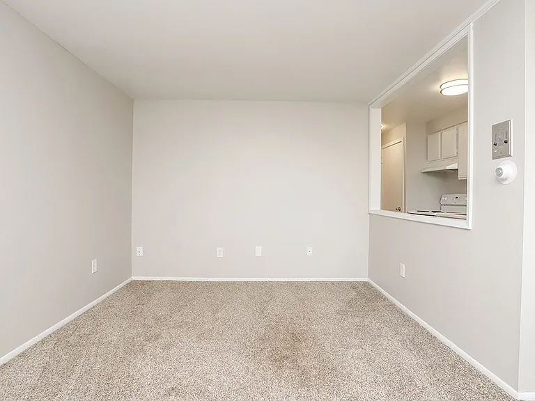 2335 S Race St — Photo 20