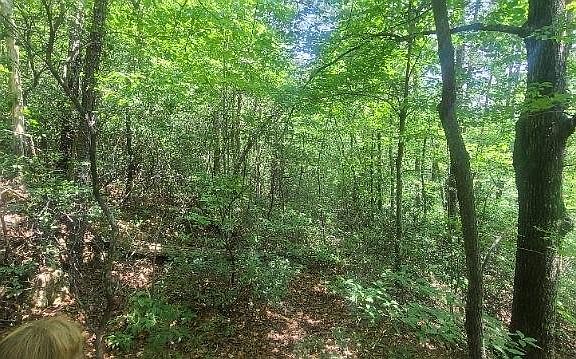 4th image of 0 Wild Turkey Rd