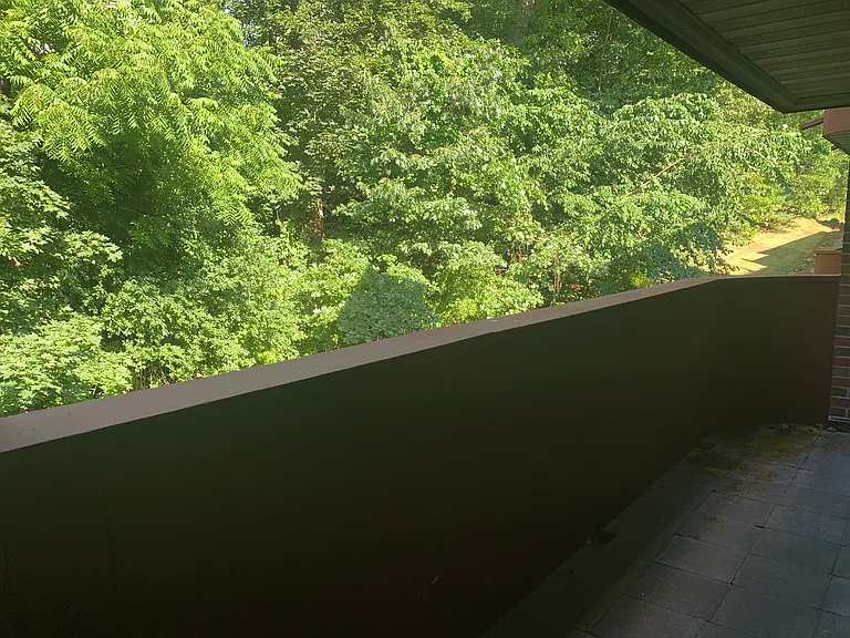 101 Rosemary St #223 — Photo 3