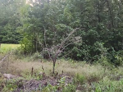 1519 S Redbud St, Pine Bluff, AR, 71603