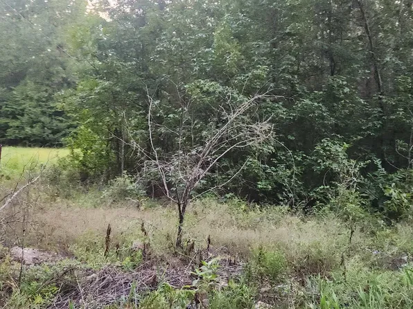 1519 S Redbud St, Pine Bluff, AR 71603