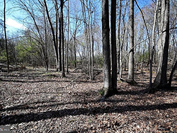5th image of 17811 Livingston Rd