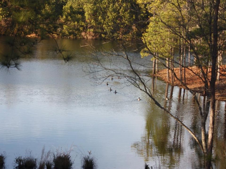 2nd image of 857 Heartleaf Dr