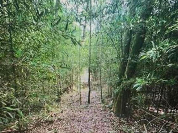 2nd image of 0 W Woodhaven Dairy Rd