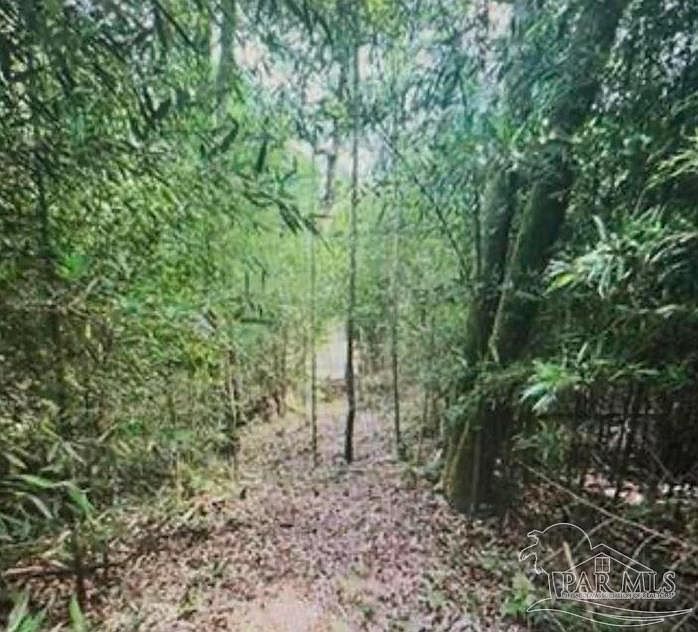 2nd image of 0 W Woodhaven Dairy Rd