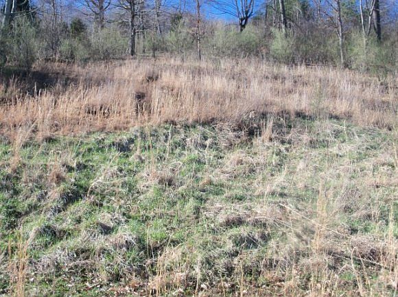 2nd image of 1855 Luray Rd