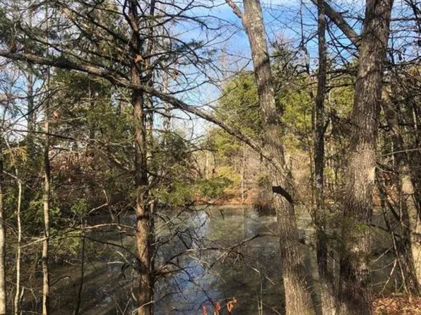 0 Wildhaven Rd, Mountain View, AR 72560