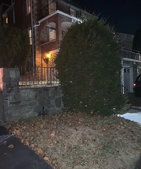 212 Alpine Pl #BASEMENT — Photo 17