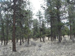 30710 W Ridge Rd #39, Buena Vista, CO 81211