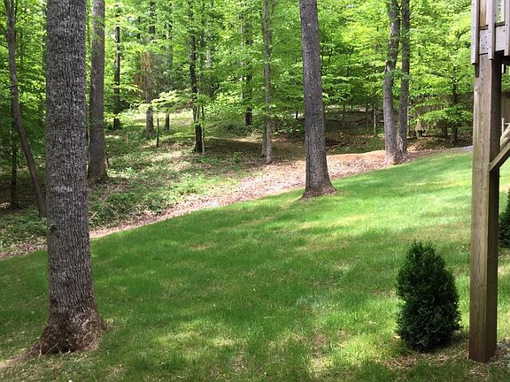 Back Lawn