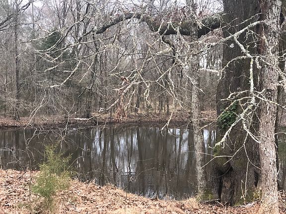 4th image of 6416 W Christy Dr