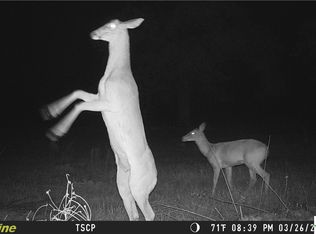 TRACT Pine Ranch Rd #H, Seguin, TX 78155