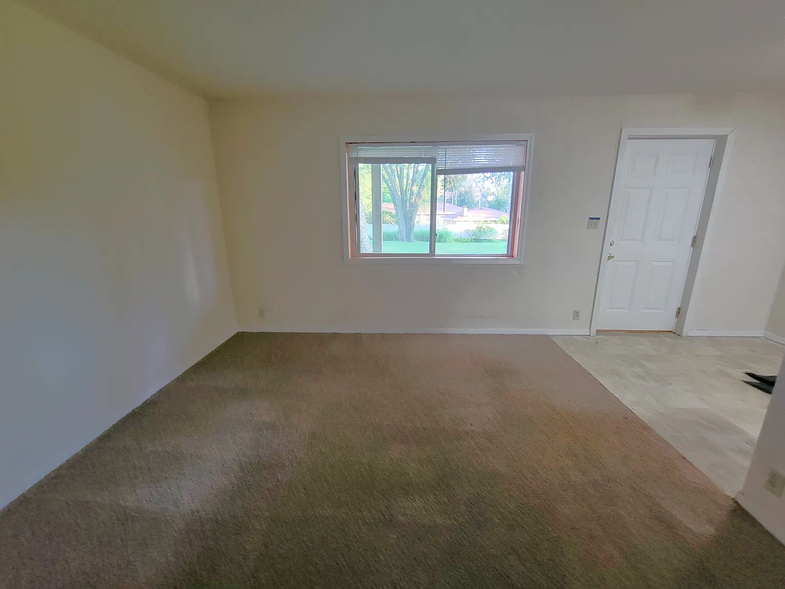 2 bed, $950 — Photo 3