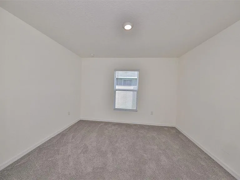 16782 Carlton Pond St — Photo 29