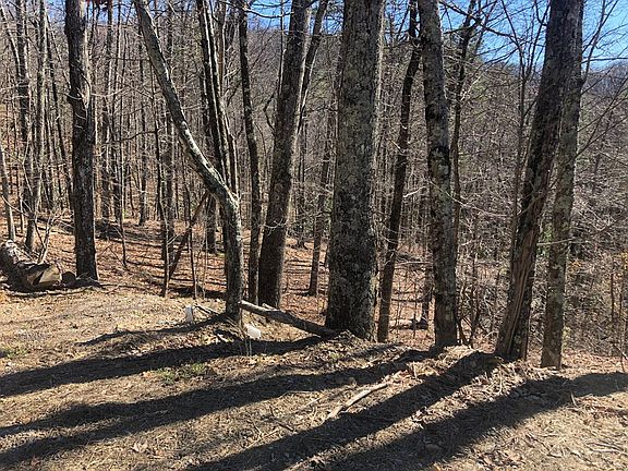 4th image of LOT 49 Magnolia Ct