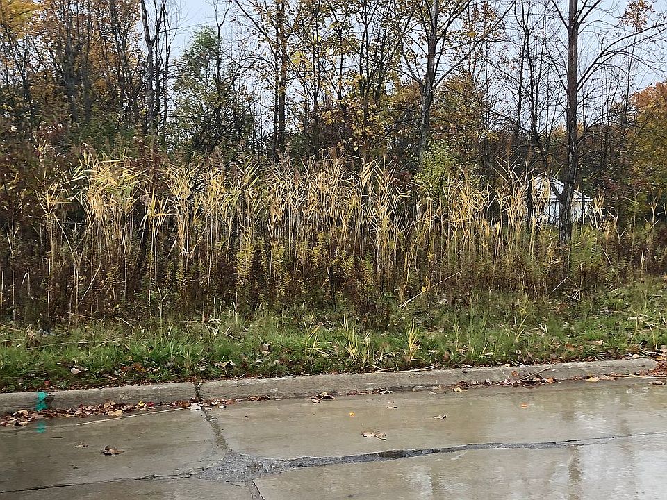 2nd image of Parke Ln #64