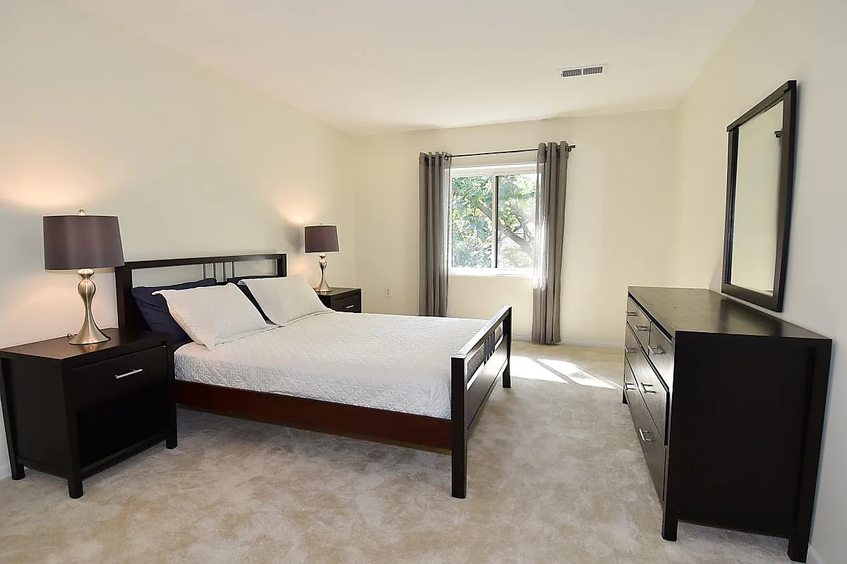 3 bed, 1234 sqft, $2,800 — Photo 4