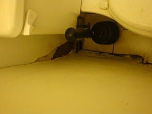 5th image of 4883 Pimlico Ct