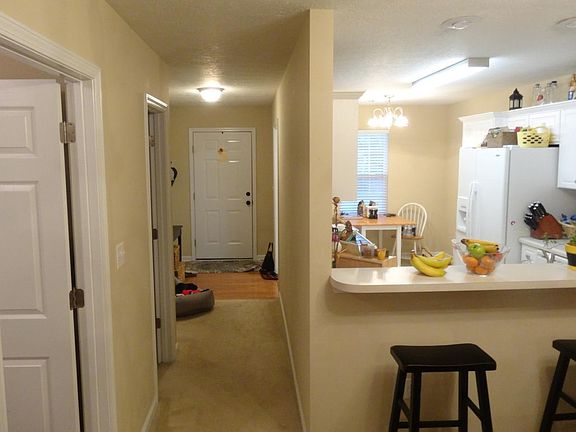 Entry way leads to the main living area