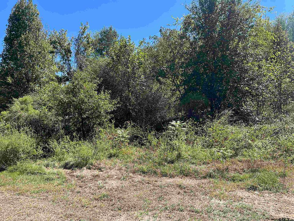 2nd image of TRACT 1 Gene Dr