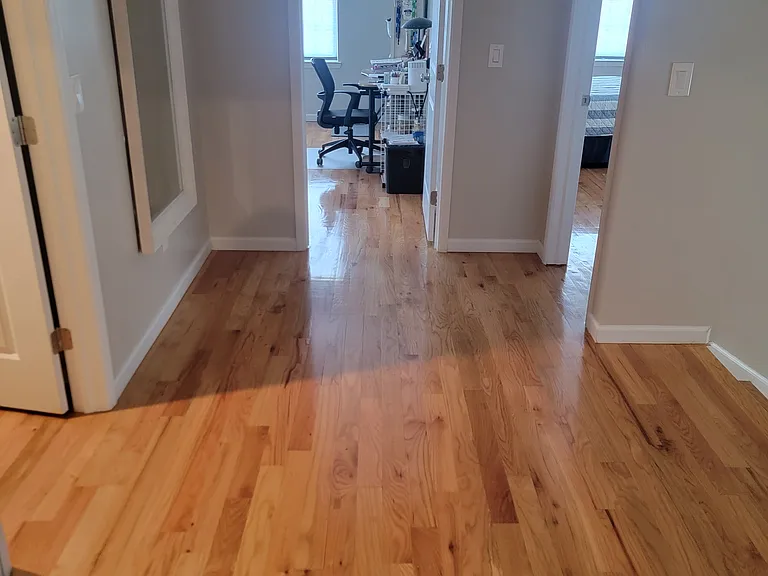 16 Quinton St — Photo 10