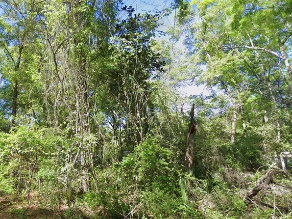 SE 926th St Lot 29, Old Town, FL 32680